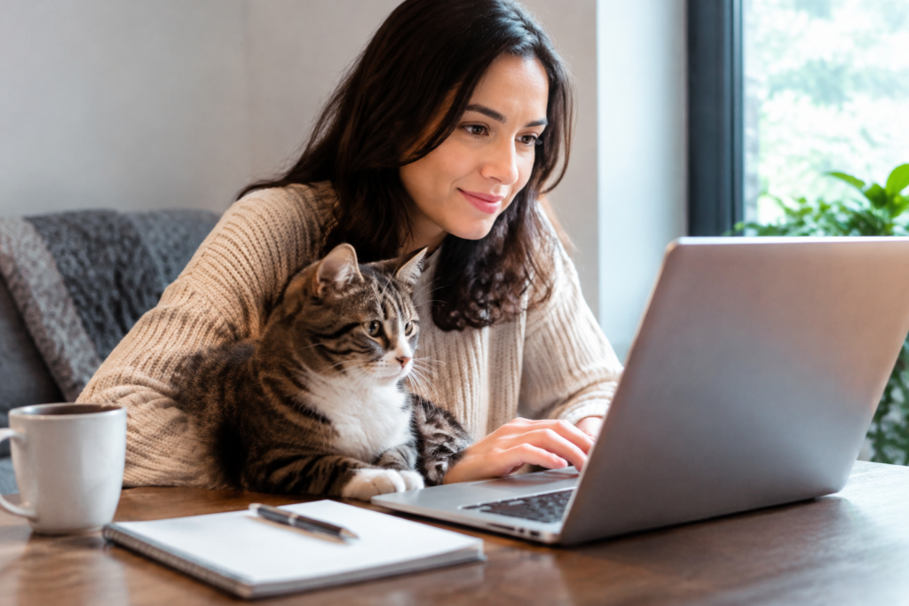 Indoor Cat Insurance Waiting Period Explained Smart Choice